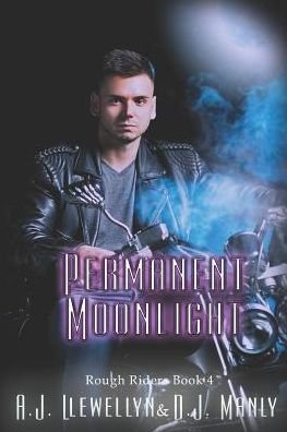 Cover for D J Manly · Permanent Moonlight (Paperback Book) (2019)
