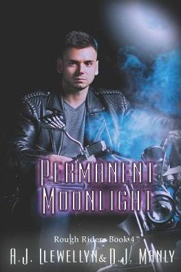 Cover for D J Manly · Permanent Moonlight (Pocketbok) (2019)