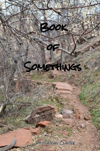 Cover for Icarus Claire · Book of Somethings (Pocketbok) (2014)