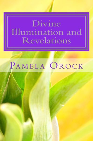 Cover for Pamela Agbor Orock · Divine Illumination and Revelation (Paperback Book) (2015)