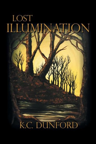 Cover for K C Dunford · Lost Illumination (Paperback Book) (2016)