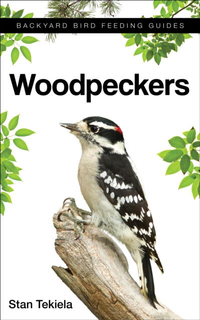 Cover for Stan Tekiela · Woodpeckers - Backyard Bird Feeding Guides (Paperback Book) (2017)