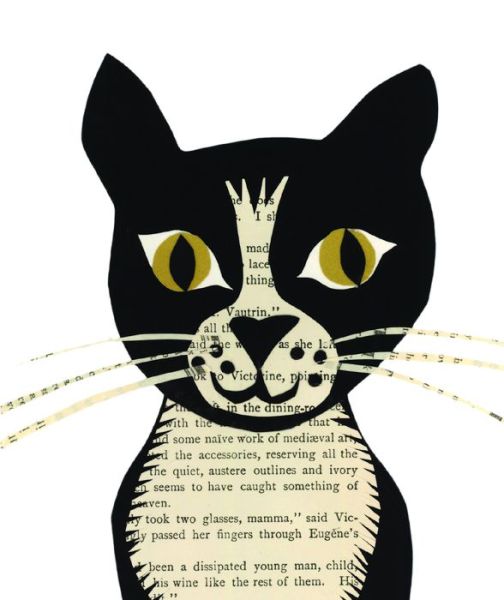 Cover for Denise Fiedler · Paste Cats QuickNotes - QuickNotes (Flashcards) (2015)