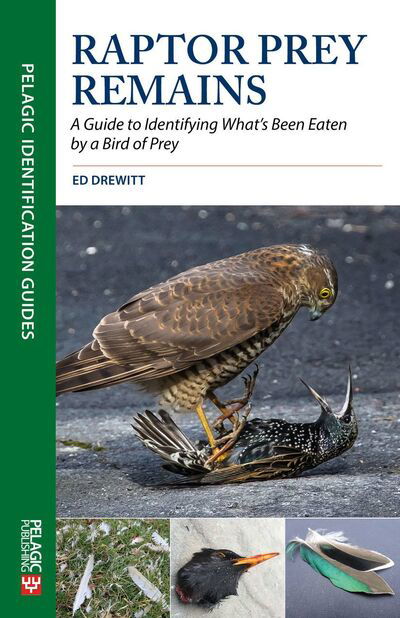 Cover for Ed Drewitt · Raptor Prey Remains: A Guide to Identifying What's Been Eaten by a Bird of Prey - Pelagic Identification Guides (Pocketbok) (2020)