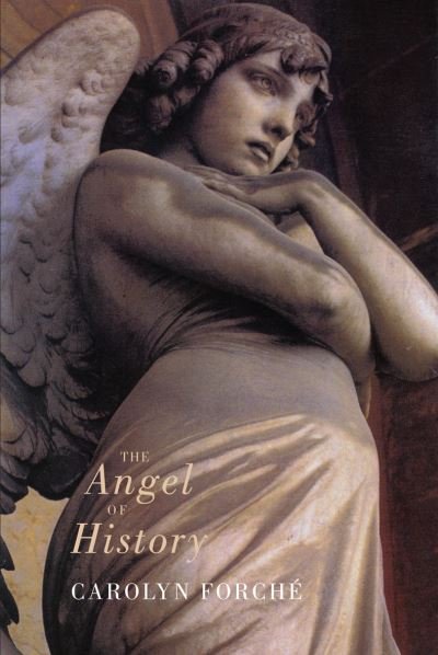 Cover for Carolyn Forche · The Angel of History (Taschenbuch) [International edition] (1994)