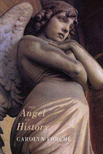 The Angel of History - Carolyn Forche - Bücher - Bloodaxe Books Ltd - 9781852243074 - 27. Oktober 1994