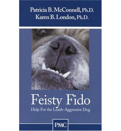 Feisty Fido - P Mcconnell - Books - FIRST STONE - 9781891767074 - 2003