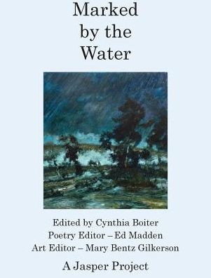 Cover for Cynthia A Boiter · Marked by the Water (Hardcover Book) (2016)