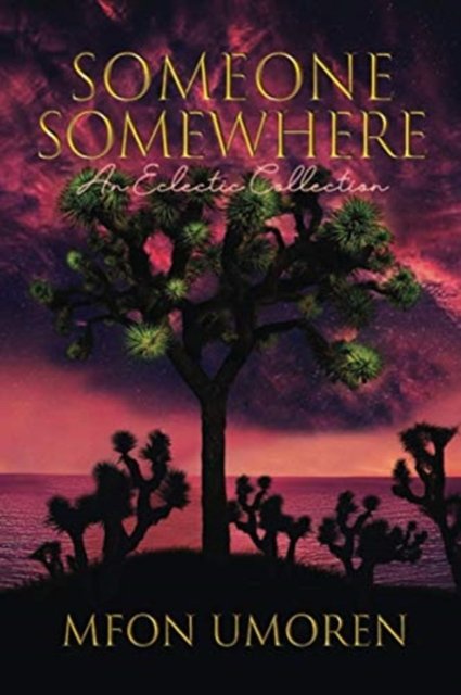 Cover for Mfon Umoren · Someone Somewhere (Pocketbok) (2020)