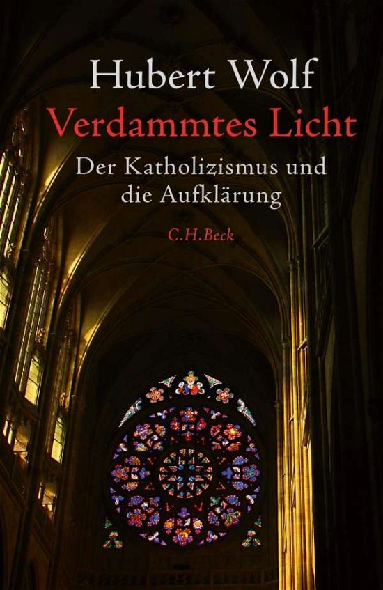Cover for Wolf · Verdammtes Licht (Buch)