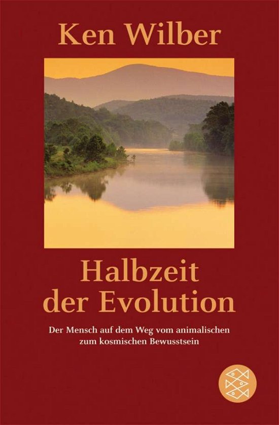 Cover for Ken Wilber · Fischer TB.18307 Wilber.Halbzeit.Evolu. (Book)