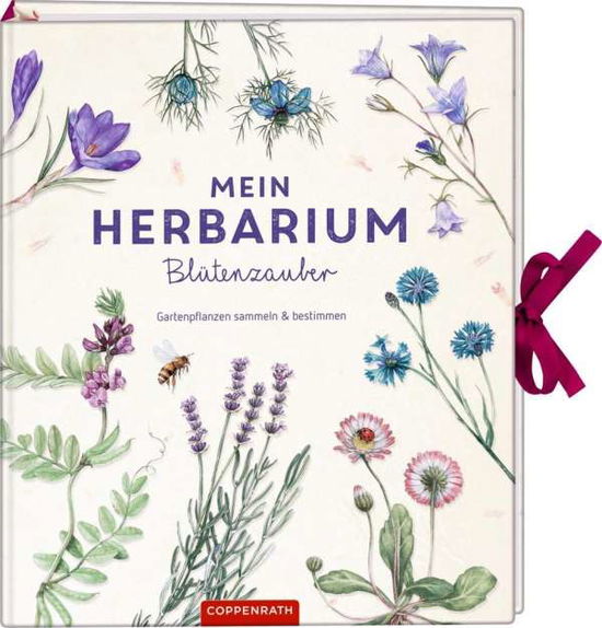 Cover for Zysk · Mein Herbarium: Blütenzauber (Book)