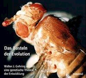 Cover for Gehring · Das Basteln der Evolution, (Book)