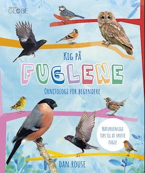 Cover for Dan Rouse · Kig på fuglene - Ornitologi for begyndere (Bound Book) [1. wydanie] (2023)