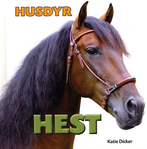 Cover for Katie Dicker · Husdyr: Hest (Bound Book) [1. Painos] (2014)