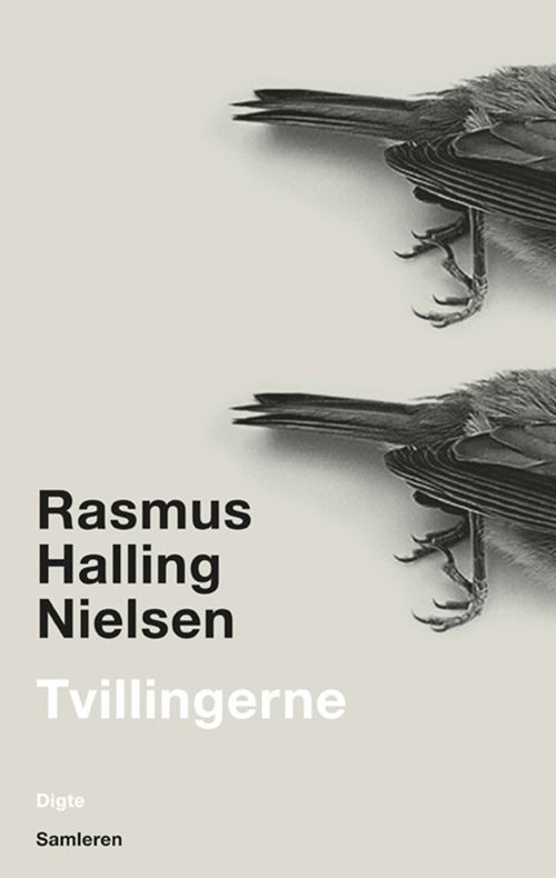 Cover for Rasmus Halling Nielsen · Tvillingerne (Poketbok) [1:a utgåva] (2012)