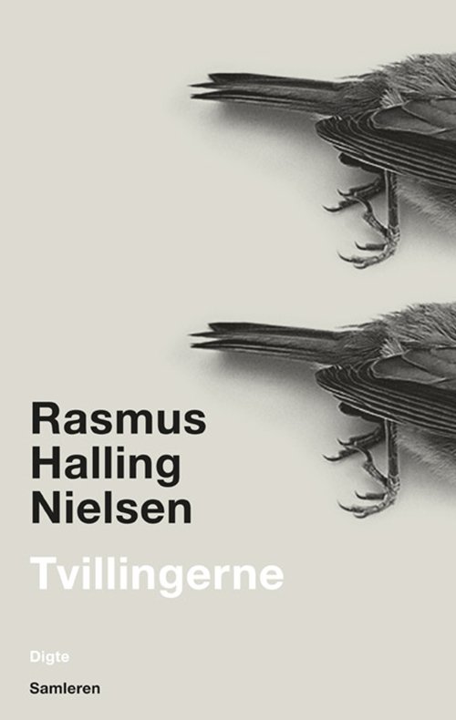 Cover for Rasmus Halling Nielsen · Tvillingerne (Sewn Spine Book) [1st edition] (2012)
