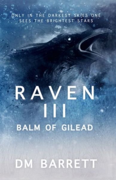 Raven III - DM Barrett - Bøker - Independently Published - 9798619040074 - 27. februar 2020