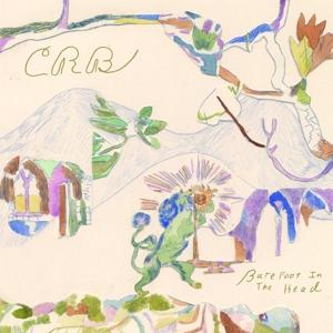 Chris Robinson Brotherhood · Barefoot In The Head (LP) (2017)