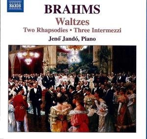 Waltz Op 39 Rhapsodies Op 79 - Brahms / Jando - Musik - NAXOS - 0747313029075 - 29. Mai 2007