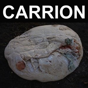 Cover for Recitation · Carrion (LP) (2018)