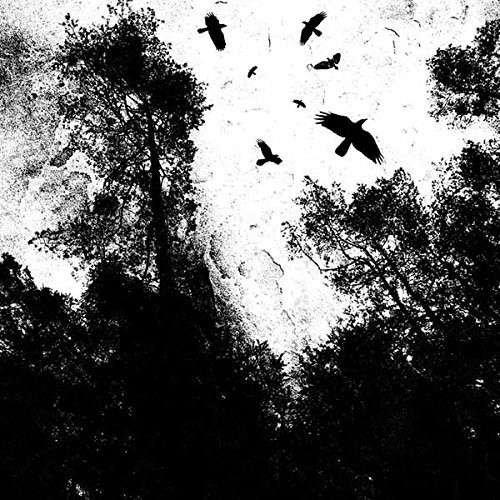 Gone - Autumn's Dawn - Musiikki - SOUND POLLUTION - 4260393740075 - torstai 4. syyskuuta 2014