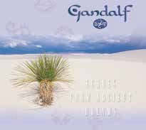 Echoes From Ancient Dreams - Gandalf - Musique - ULTRAVYBE - 4526180633075 - 23 décembre 2022