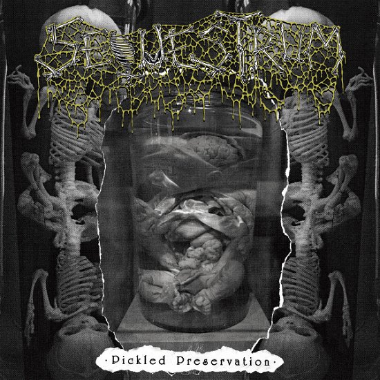 Cover for Sequestrum · Pickled Preservation (Cassette) (2023)