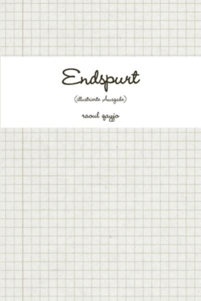 Cover for Raoul Qayjo · Endspurt (illustrierte Ausgabe) (Book) (2012)