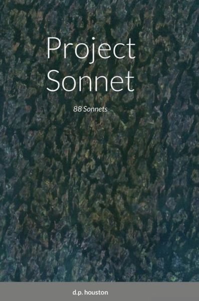 Cover for D P Houston · Project Sonnet (Innbunden bok) (2021)
