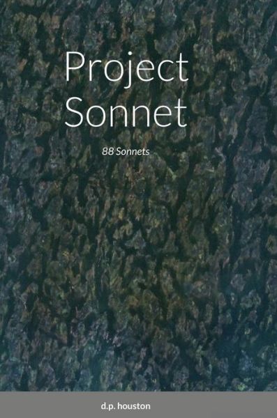 Cover for D P Houston · Project Sonnet (Inbunden Bok) (2021)