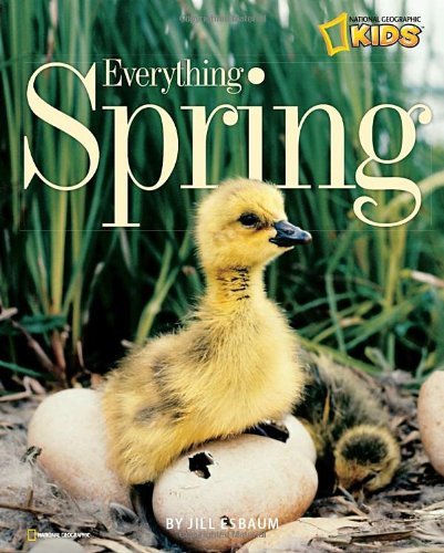 Cover for Jill Esbaum · Everything Spring - Everything (Paperback Book) (2010)