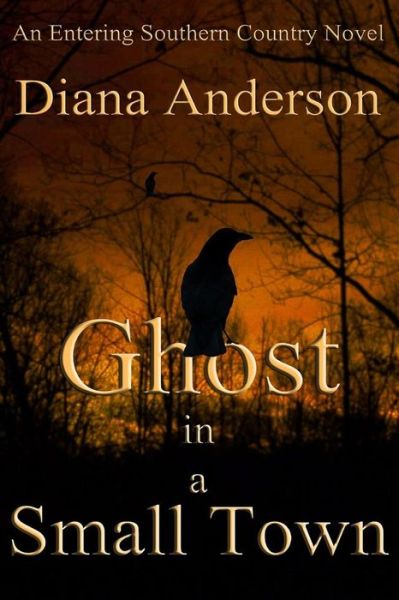 Cover for Diana Anderson · Ghost in a Small Town (Paperback Bog) (2015)