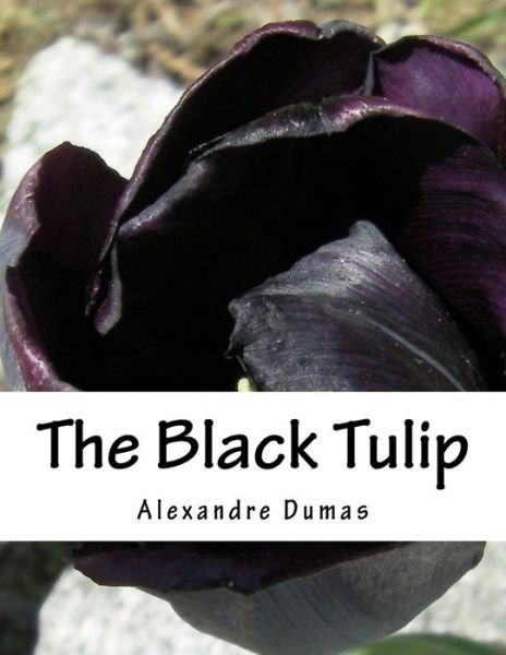Cover for Dumas Alexandre · The Black Tulip (Pocketbok) (2015)