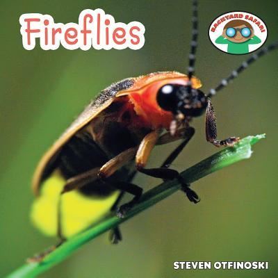 Cover for Steven Otfinoski · Fireflies (Book) [1st edition] (2014)