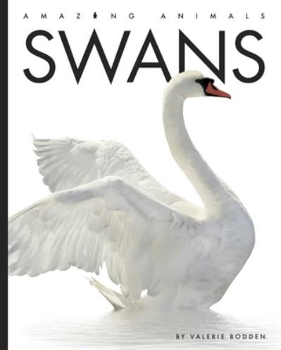 Swans - Valerie Bodden - Andet - Creative Company, The - 9781682771075 - 5. juli 2022