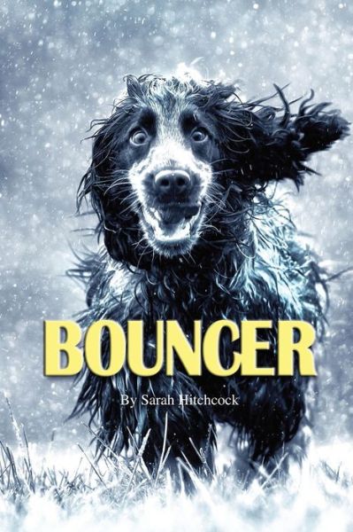 Cover for Sarah Hitchcock · Bouncer (Paperback Book) (2018)