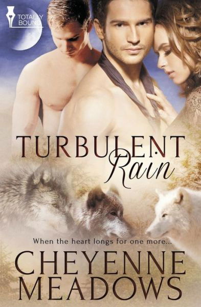Cover for Cheyenne Meadows · Turbulent Rain (Pocketbok) (2014)