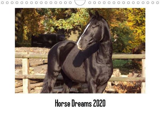 Cover for Meding · Horse Dreams (Wandkalender 2020 (Book)