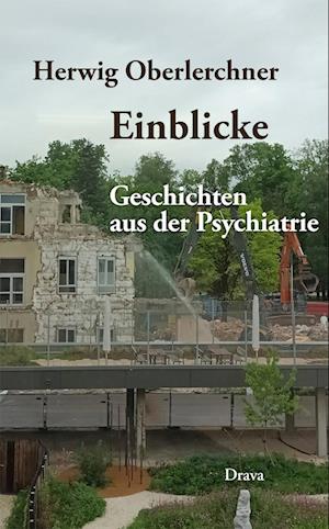 Cover for Herwig Oberlerchner · Einblicke (Book) (2025)