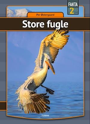 Cover for Per Østergaard · Fakta 2: Store fugle (Hardcover Book) [1.º edición] (2022)