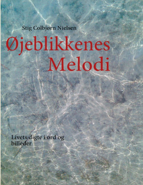 Cover for Stig Colbjørn Nielsen · Øjeblikkenes Melodi (Pocketbok) [1. utgave] [Paperback] (2011)