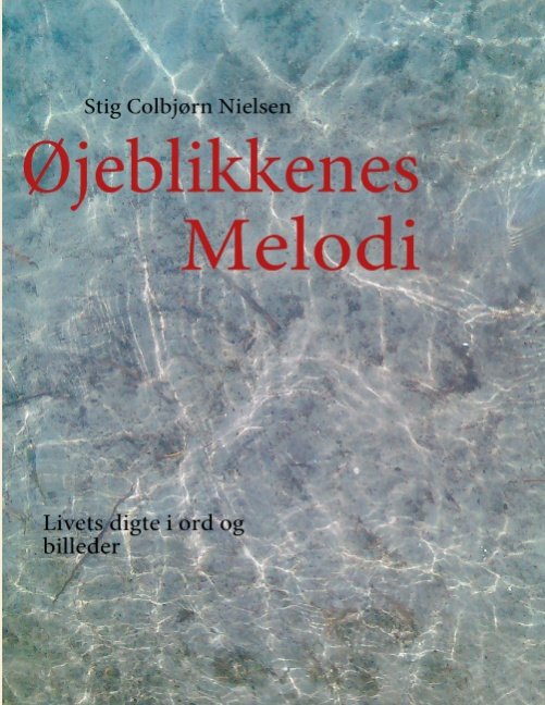 Cover for Stig Colbjørn Nielsen · Øjeblikkenes Melodi (Paperback Bog) [1. udgave] [Paperback] (2011)