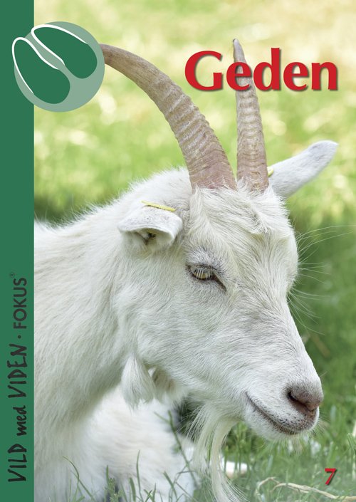 Vild med Viden FOKUS, Serie 1 Danske husdyr: Geden - Hans Ranvig - Books - Epsilon.dk - 9788793711075 - June 8, 2018