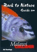 Cover for Ad Konings · Back to Nature: Back to Nature guide om malawiciklider (Indbundet Bog) (2003)