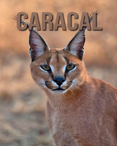 Cover for Joe Murphy · Caracal (Paperback Book) (2020)