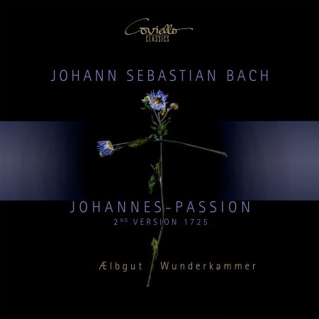 Cover for Bach,j.s. / Aelbgut / Wunderkammer · Passion (CD) (2020)