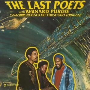 Cover for Last Poets · Its a Trip (7&quot;) (2023)