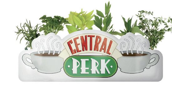 Central Perk (Table Top Vase / Vaso Da Tavolo) - Friends: Half Moon Bay - Mercancía - HALF MOON BAY - 5055453482076 - 19 de septiembre de 2021