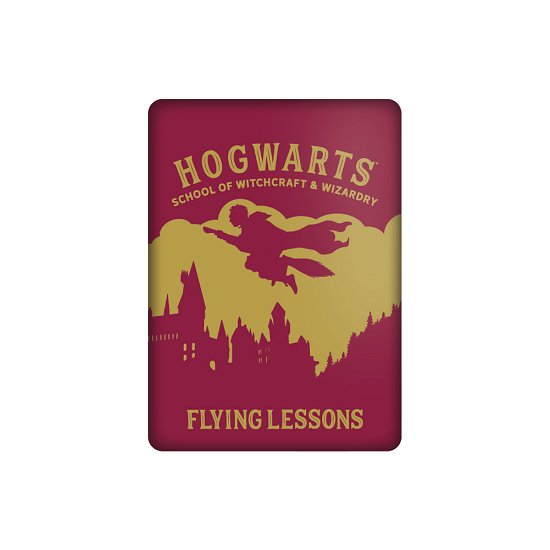 Cover for Harry Potter · HARRY POTTER - Flying Lessons - Magnet (Toys)